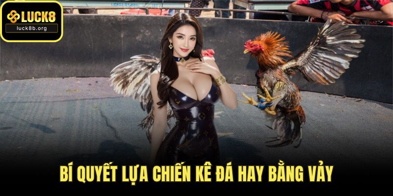 Bí quyết lựa chiến kê đá hay bằng vảy