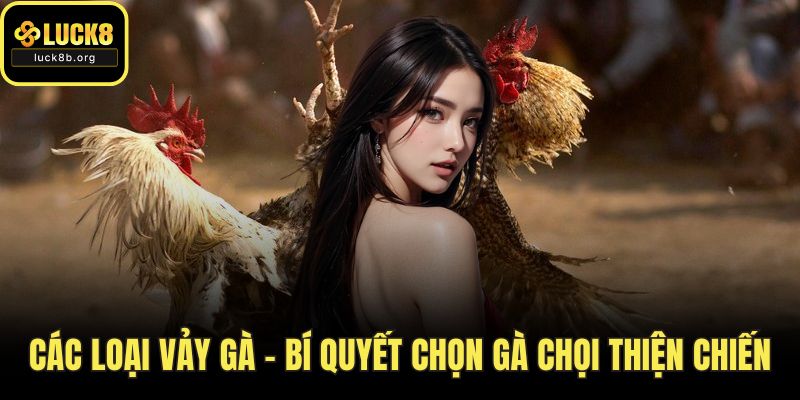 Các Loại Vảy Gà – Bí Quyết Chọn Gà Chọi Thiện Chiến