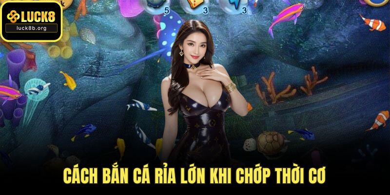 Cách bắn cá rỉa lớn khi chớp thời cơ
