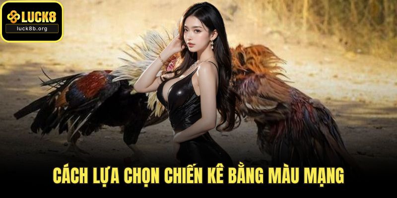 Cách lựa chọn chiến kê bằng màu mạng