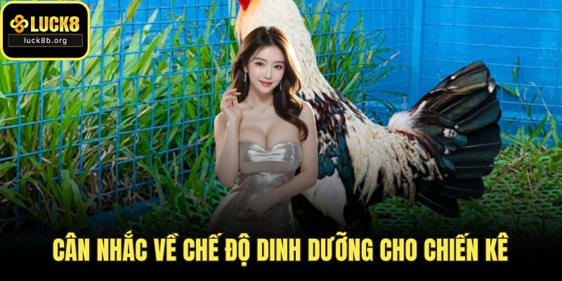 Cân nhắc về chế độ dinh dưỡng cho chiến kê