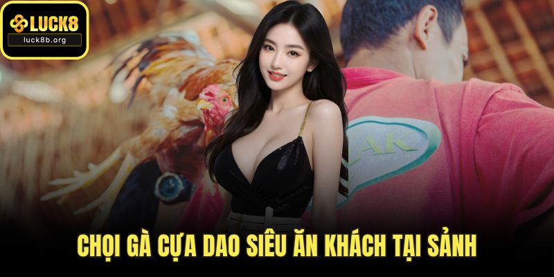Chọi gà cựa dao siêu ăn khách tại sảnh