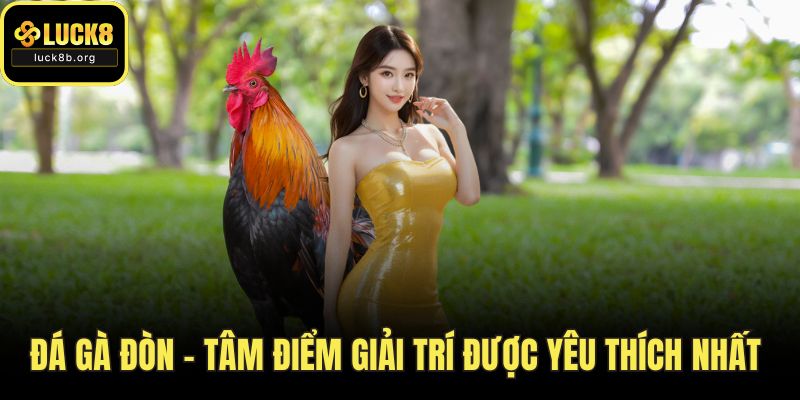 Đá Gà Đòn – Tâm Điểm Giải Trí Được Yêu Thích Nhất
