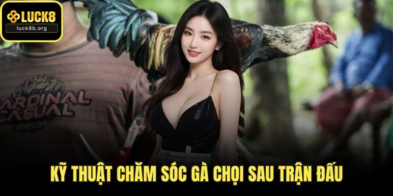 Kỹ thuật chăm sóc gà chọi sau trận đấu