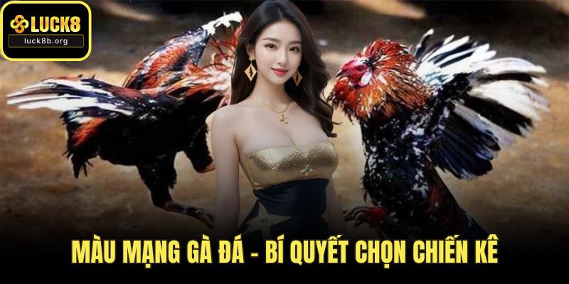 Màu Mạng Gà Đá – Bí Quyết Chọn Chiến Kê Theo Ngũ Hành