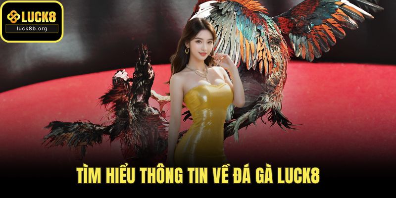 Tìm hiểu thông tin về đá gà LUCK8