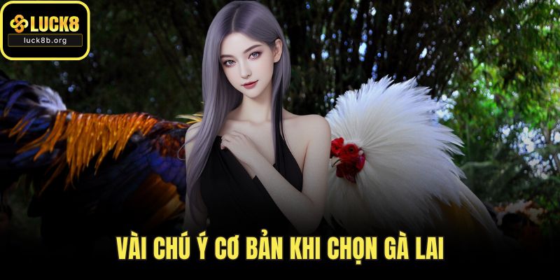 Vài chú ý cơ bản khi chọn gà lai